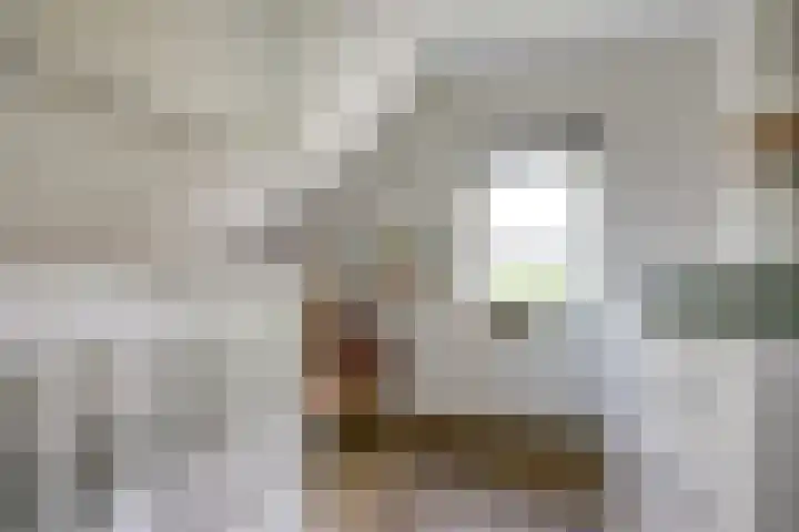 Zwartemeerweg 20 D Ens thumbnail 28