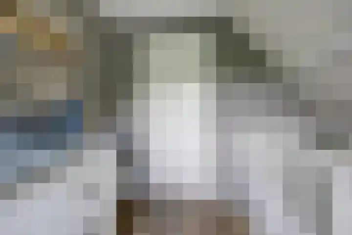 Zwartemeerweg 20 D Ens thumbnail 29