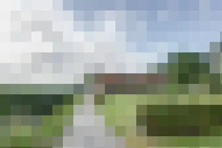 Zwartemeerweg 20 D Ens foto 3