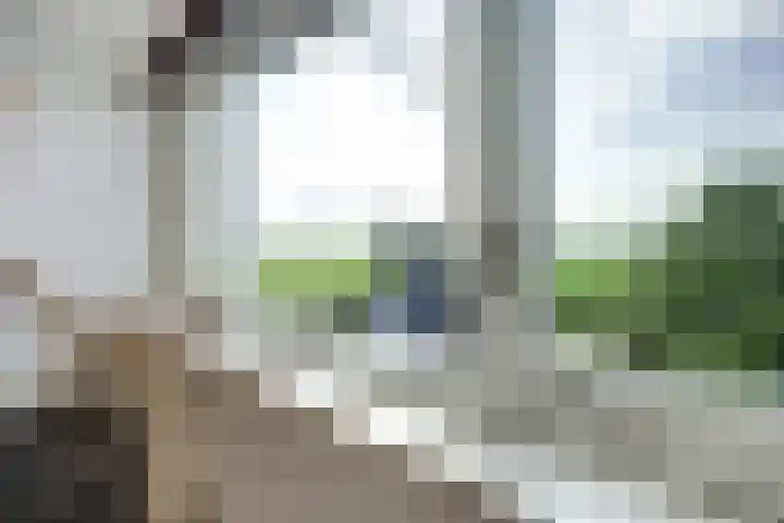 Zwartemeerweg 20 D Ens thumbnail 30