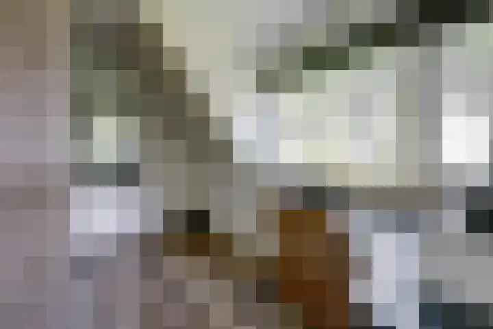 Zwartemeerweg 20 D Ens thumbnail 31