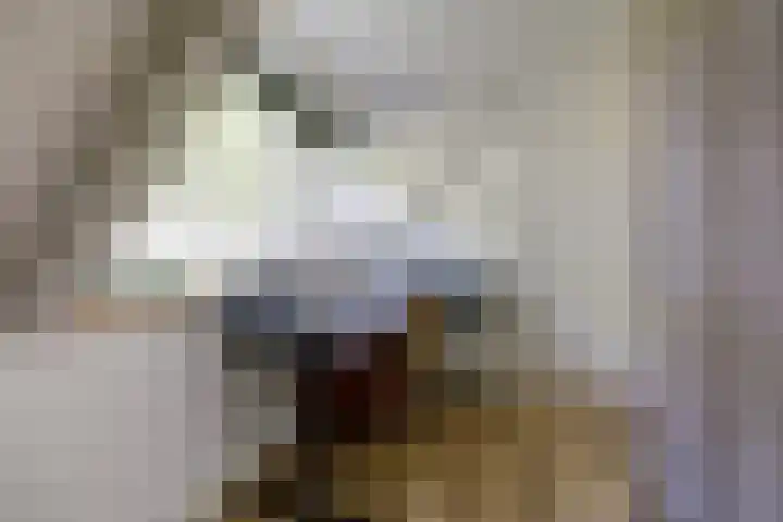 Zwartemeerweg 20 D Ens thumbnail 32