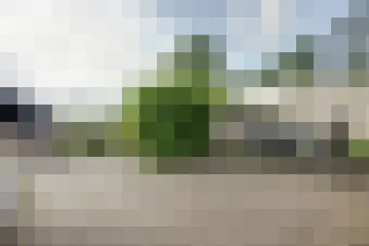 Zwartemeerweg 20 D Ens thumbnail 34
