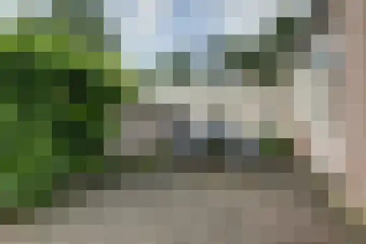 Zwartemeerweg 20 D Ens thumbnail 35