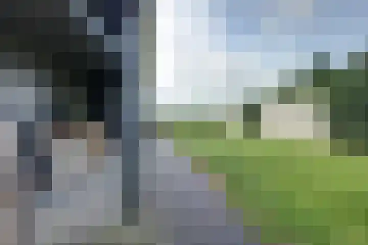 Zwartemeerweg 20 D Ens thumbnail 36