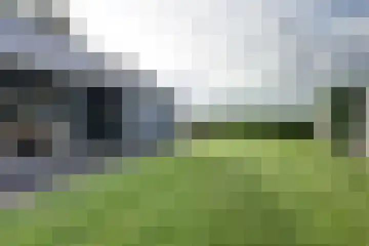 Zwartemeerweg 20 D Ens thumbnail 37