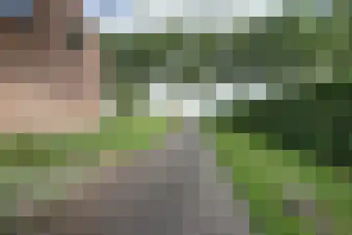 Zwartemeerweg 20 D Ens thumbnail 4