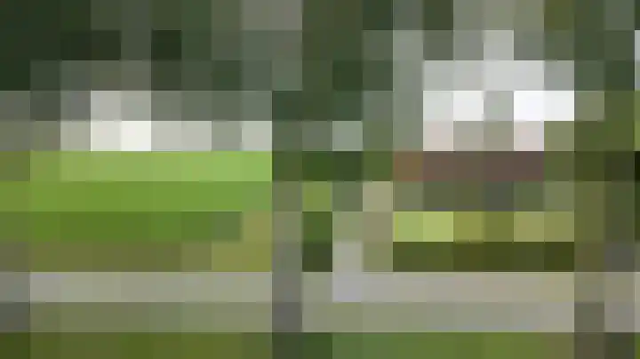 Zwartemeerweg 20 D Ens thumbnail 43