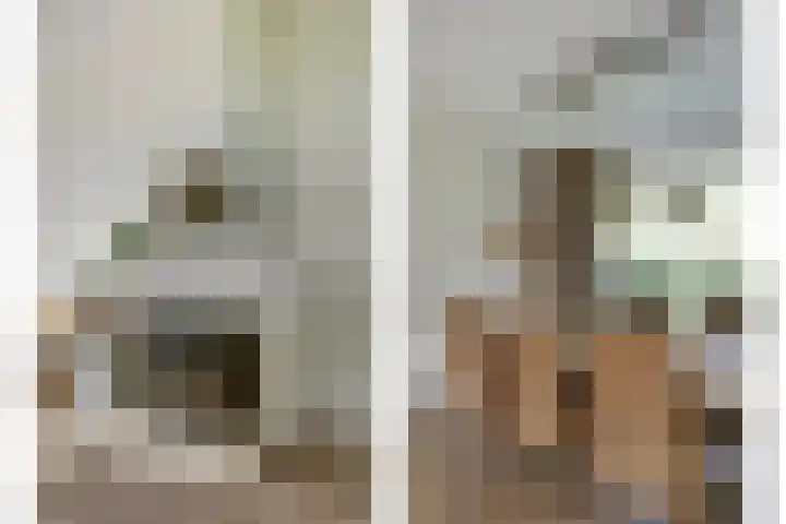 Zwartemeerweg 20 D Ens thumbnail 9