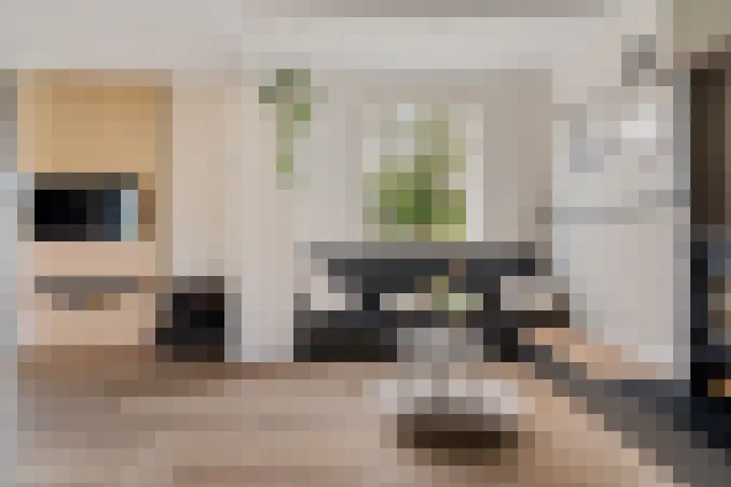 Zwartemeerweg 29 B Kraggenburg thumbnail 16