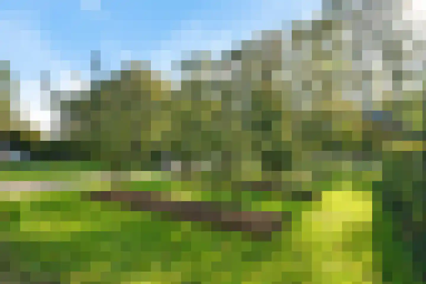 Zwartemeerweg 29 B Kraggenburg thumbnail 57