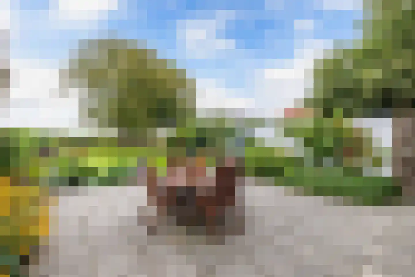Zwartemeerweg 40 A Kraggenburg thumbnail 27