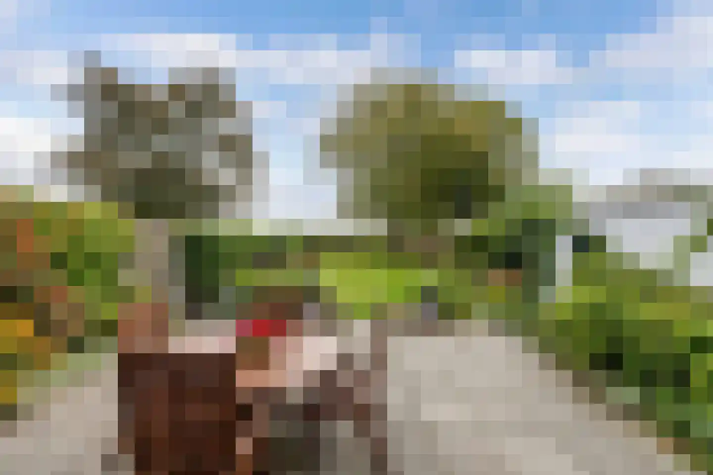 Zwartemeerweg 40 A Kraggenburg thumbnail 28
