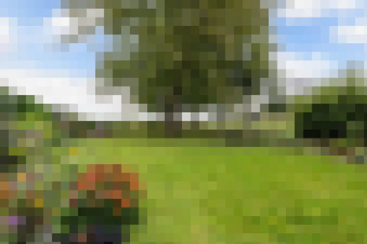Zwartemeerweg 40 A Kraggenburg thumbnail 31