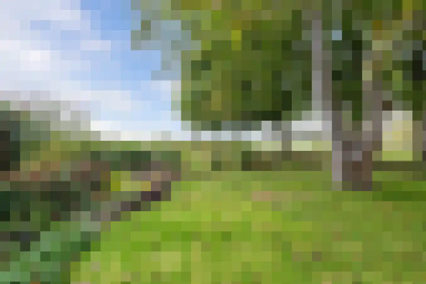 Zwartemeerweg 40 A Kraggenburg thumbnail 32