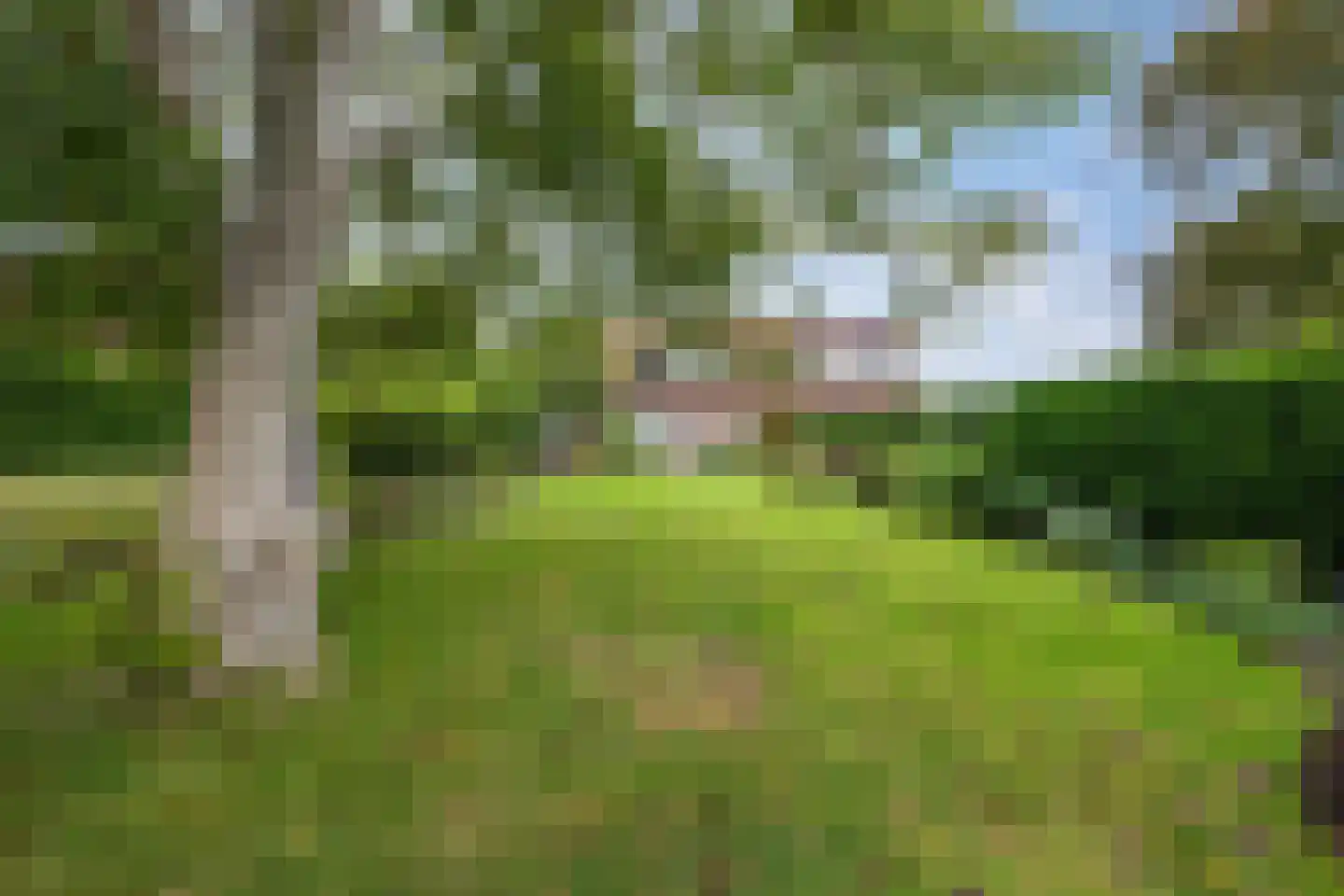 Zwartemeerweg 40 A Kraggenburg thumbnail 33