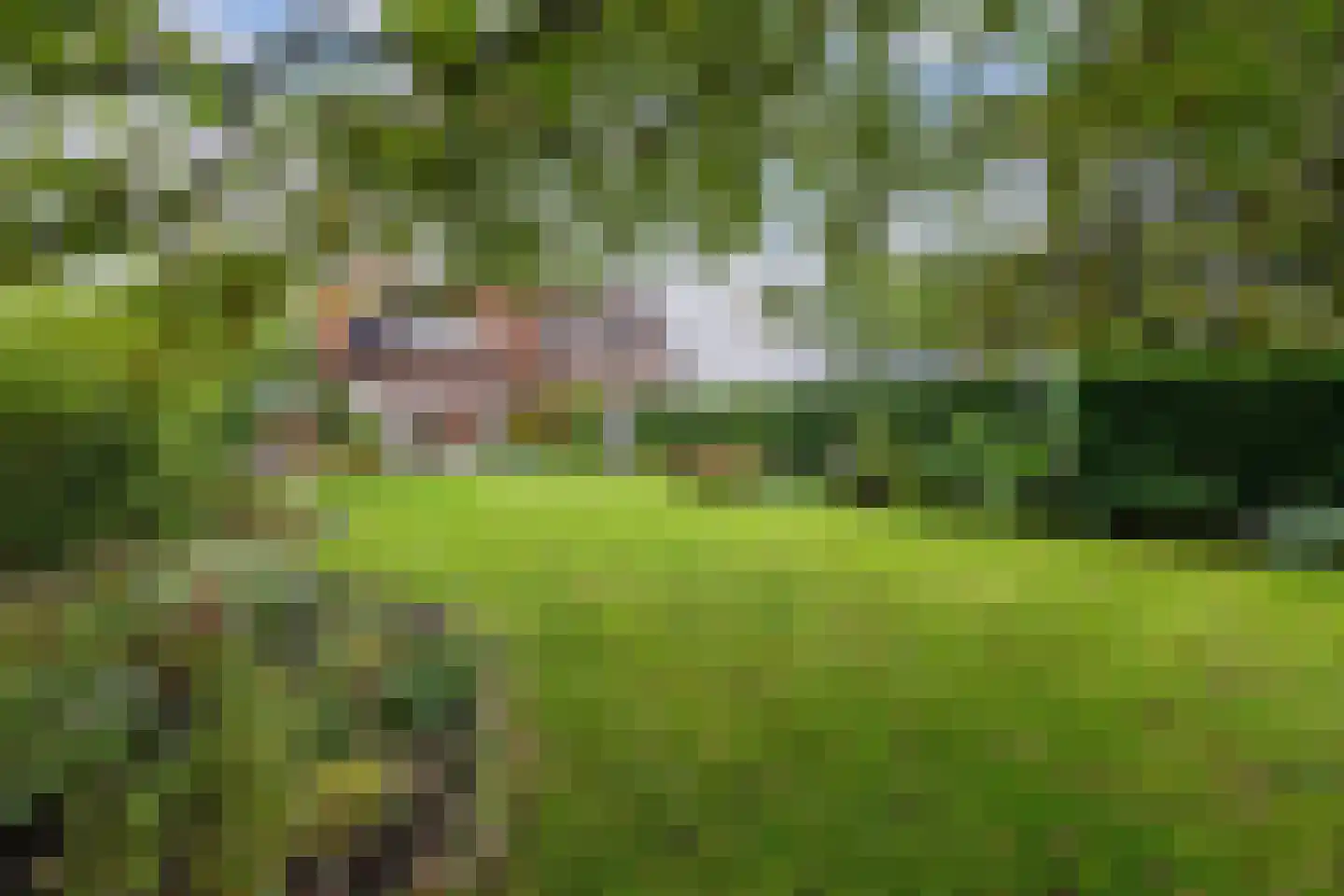 Zwartemeerweg 40 A Kraggenburg thumbnail 35