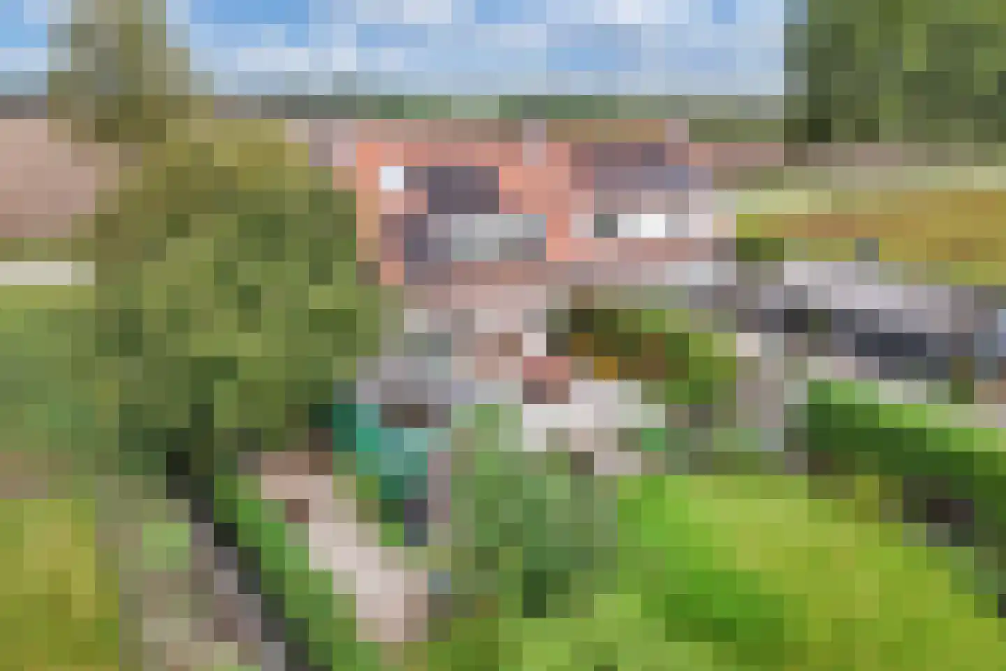 Zwartemeerweg 40 A Kraggenburg thumbnail 39