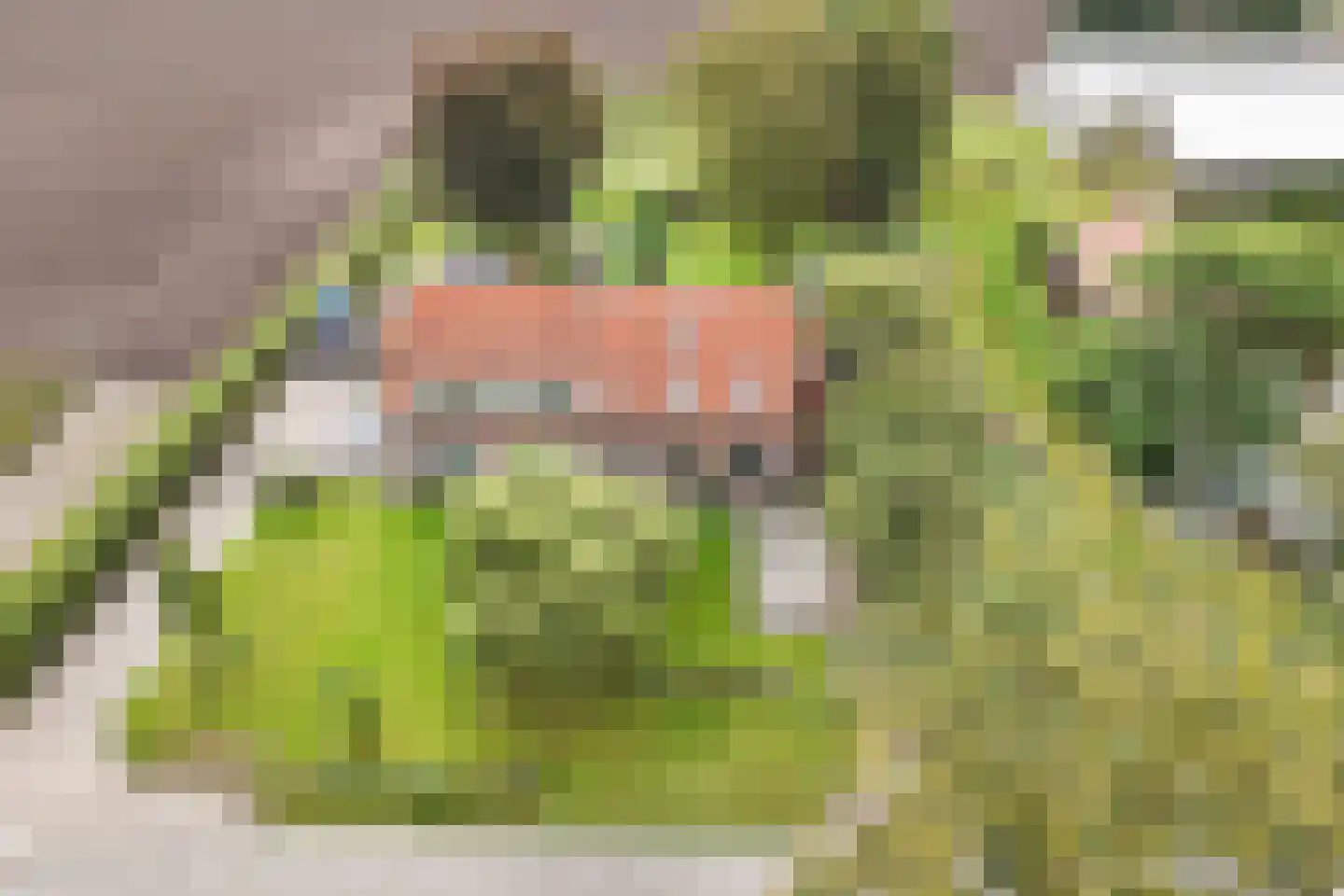 Zwartemeerweg 40 A Kraggenburg thumbnail 8