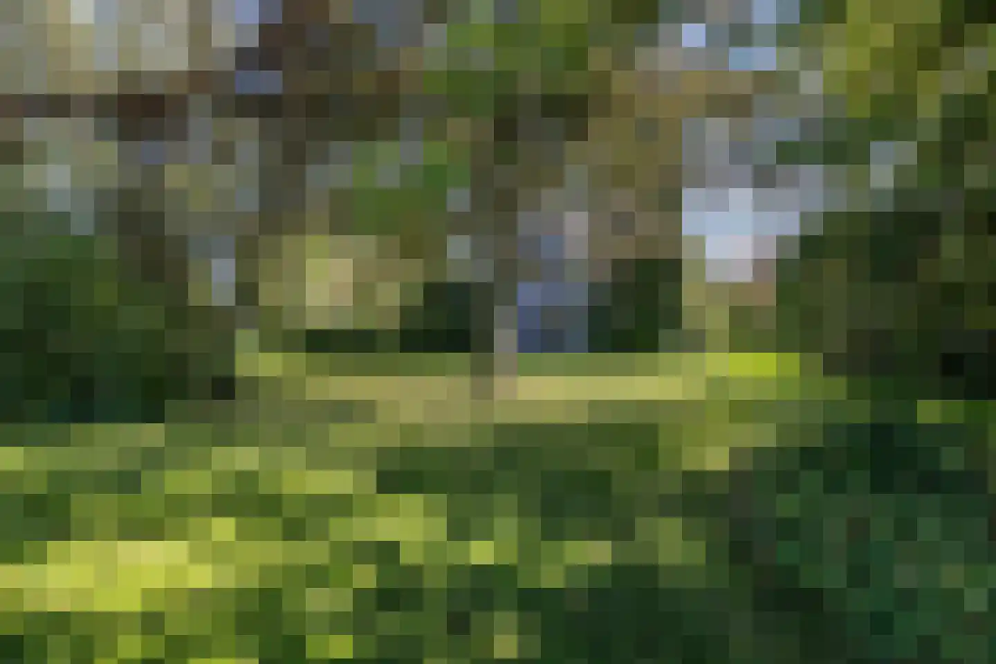 Zwartemeerweg 44 Kraggenburg thumbnail 10
