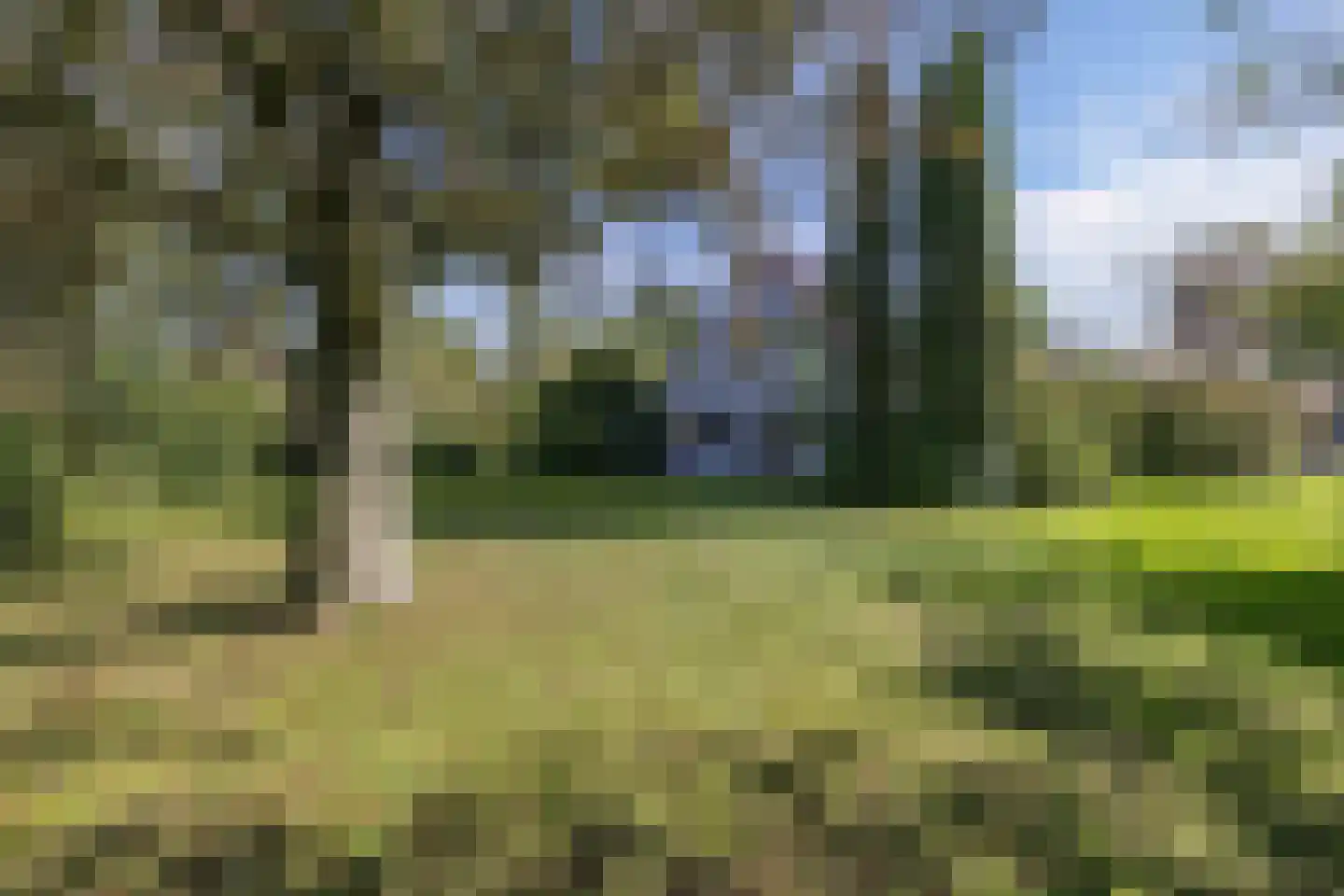 Zwartemeerweg 44 Kraggenburg thumbnail 11