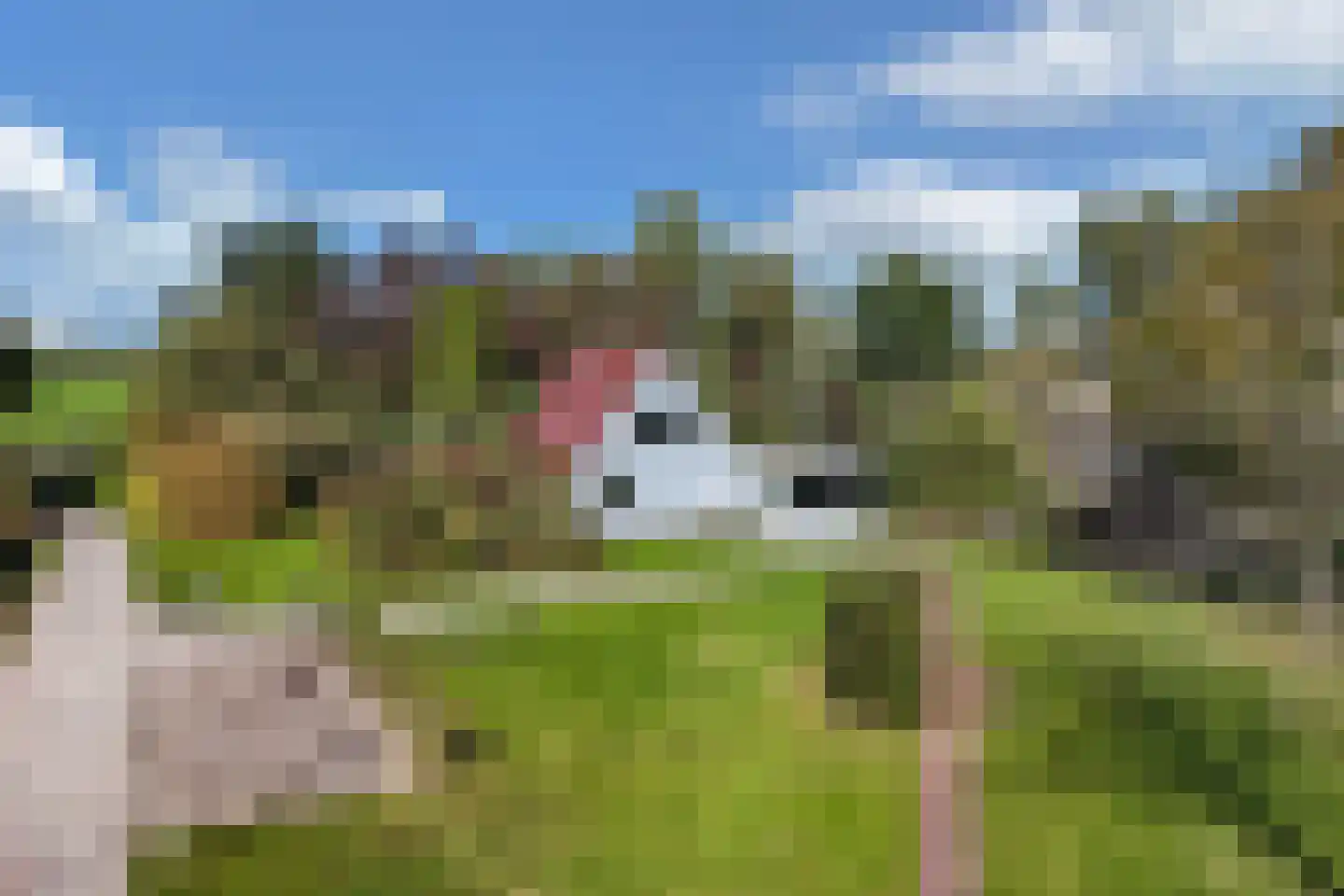 Zwartemeerweg 44 Kraggenburg thumbnail 13