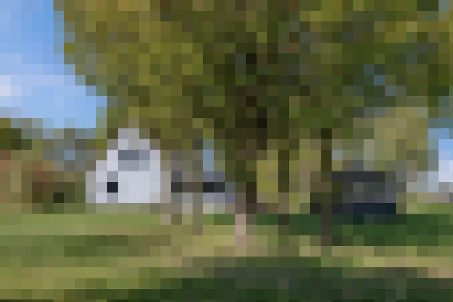 Zwartemeerweg 44 Kraggenburg thumbnail 15