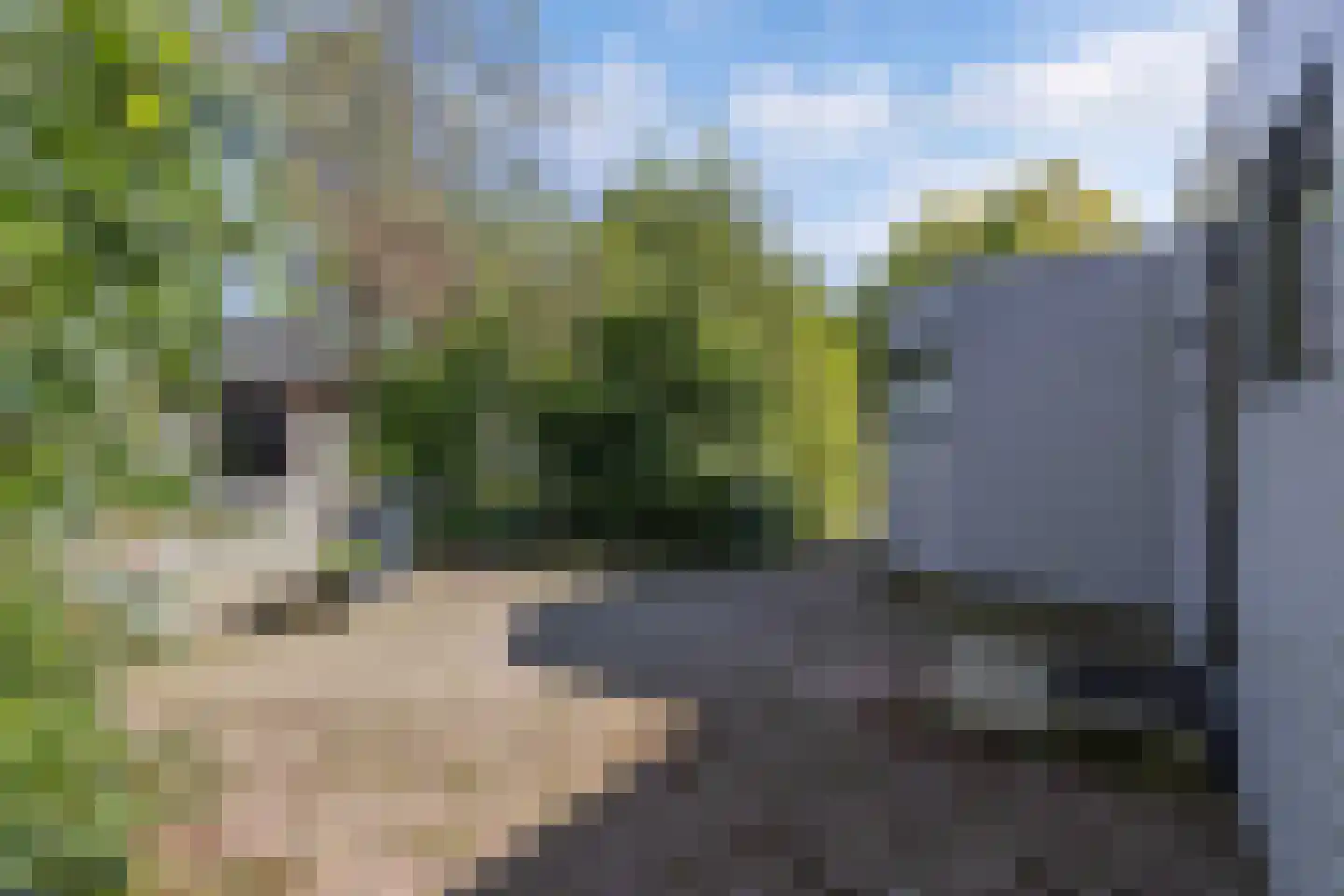 Zwartemeerweg 44 Kraggenburg thumbnail 18
