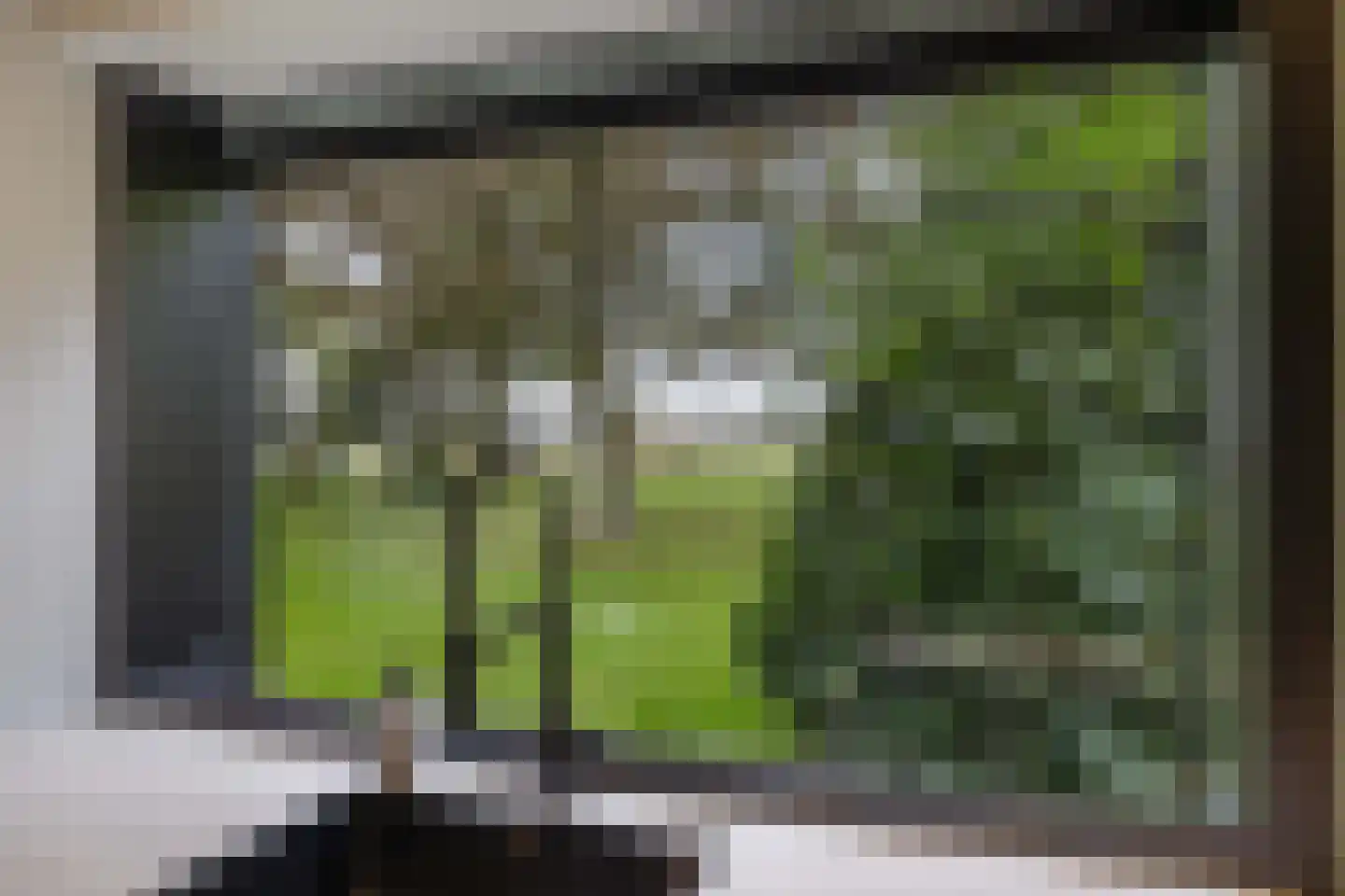 Zwartemeerweg 44 Kraggenburg thumbnail 25