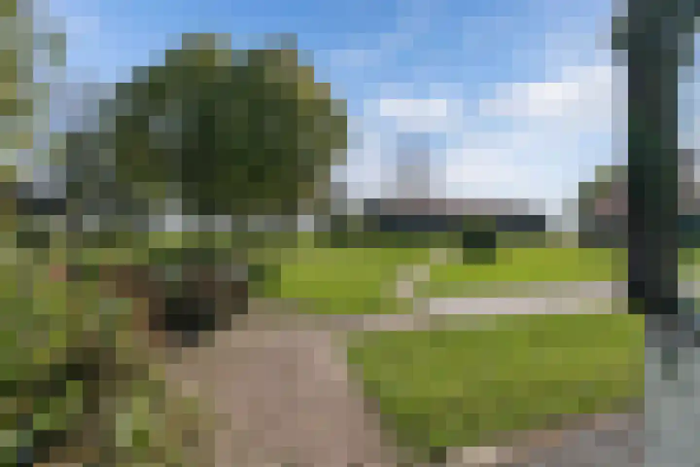 Zwartemeerweg 44 Kraggenburg foto 3