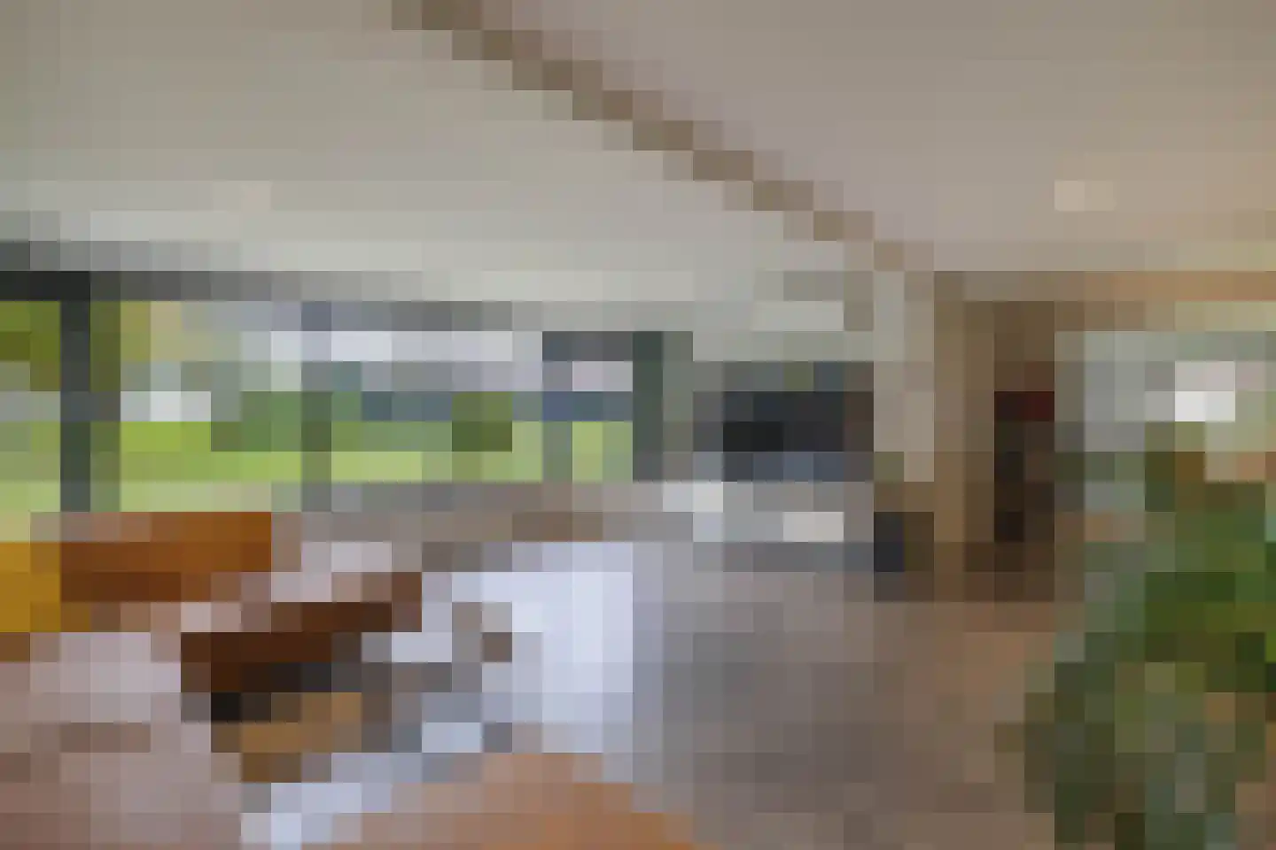 Zwartemeerweg 44 Kraggenburg thumbnail 33