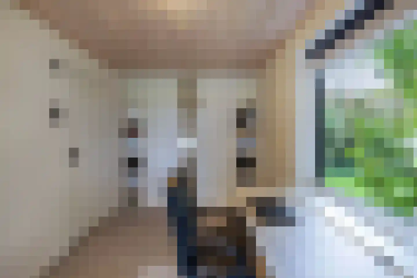 Zwartemeerweg 44 Kraggenburg thumbnail 41