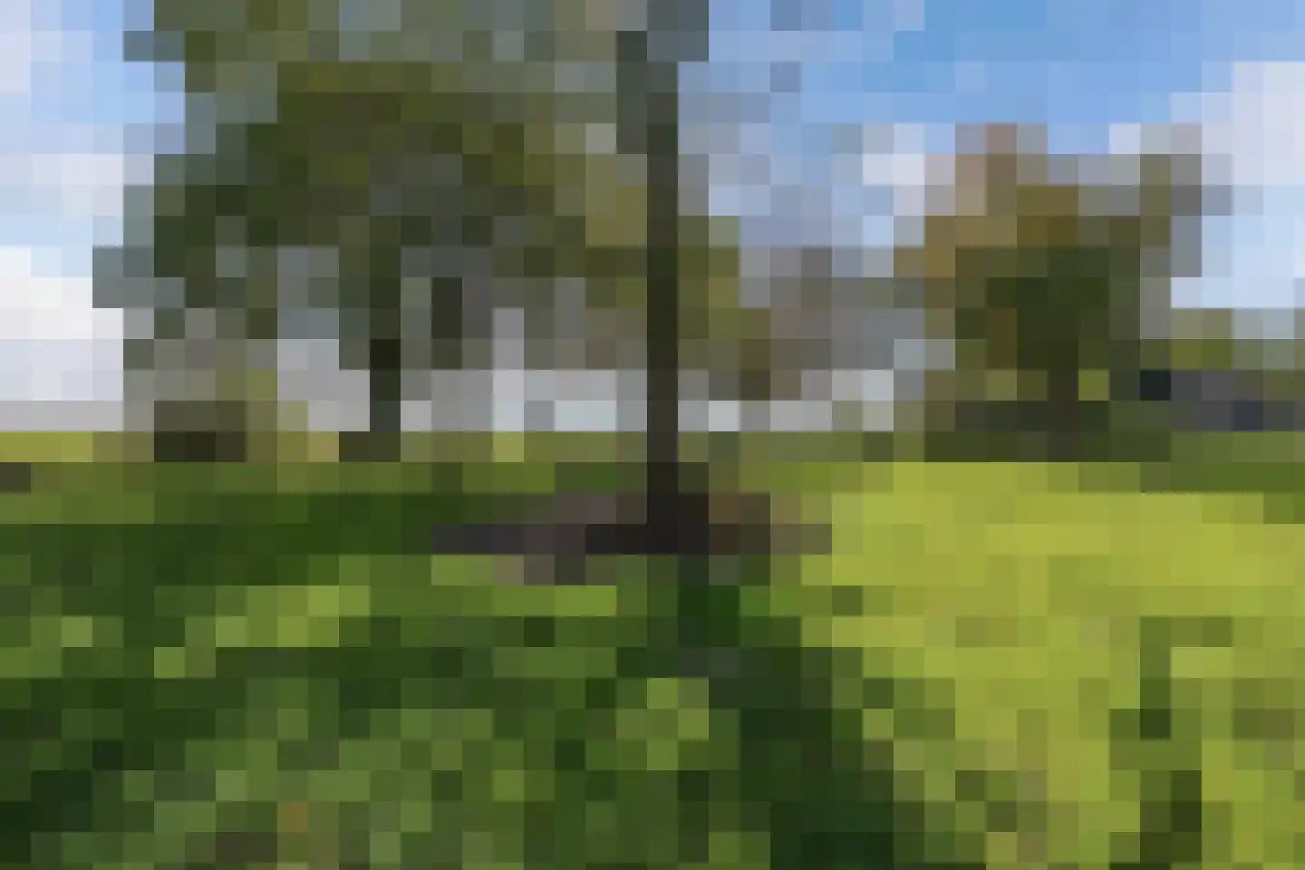 Zwartemeerweg 44 Kraggenburg thumbnail 56