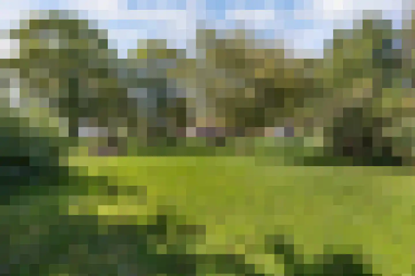 Zwartemeerweg 44 Kraggenburg thumbnail 58