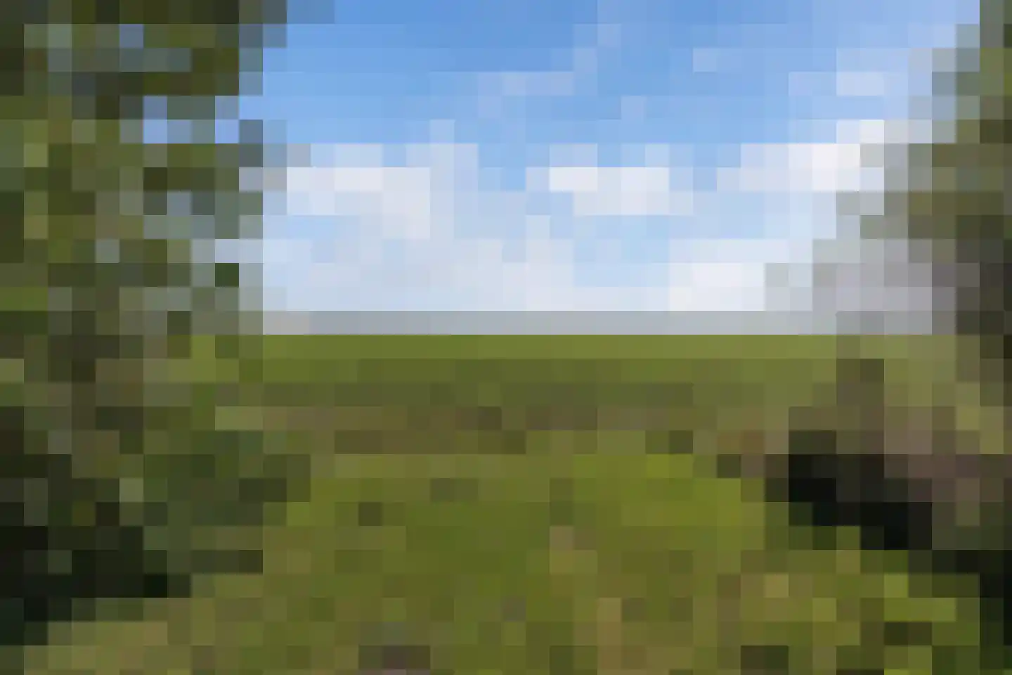 Zwartemeerweg 44 Kraggenburg thumbnail 59