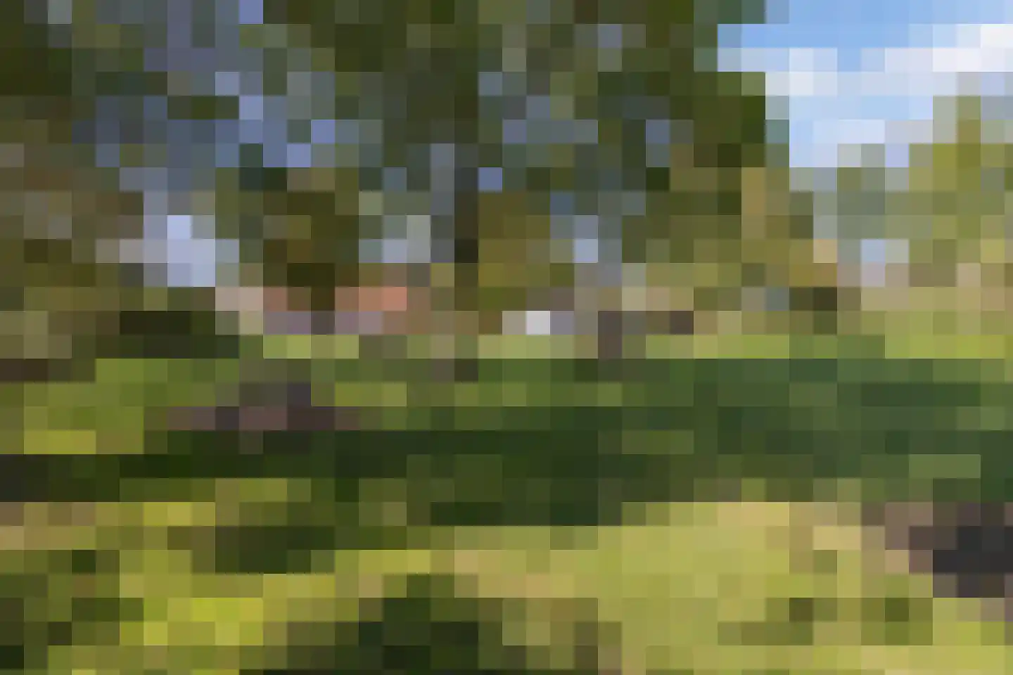 Zwartemeerweg 44 Kraggenburg thumbnail 60
