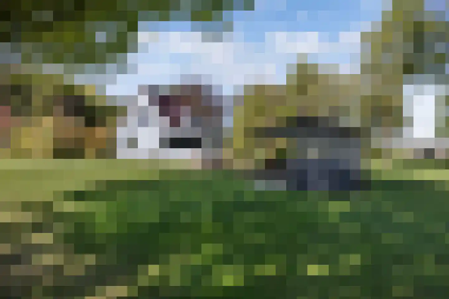 Zwartemeerweg 44 Kraggenburg thumbnail 61