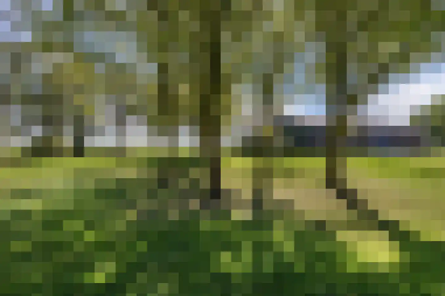 Zwartemeerweg 44 Kraggenburg thumbnail 66