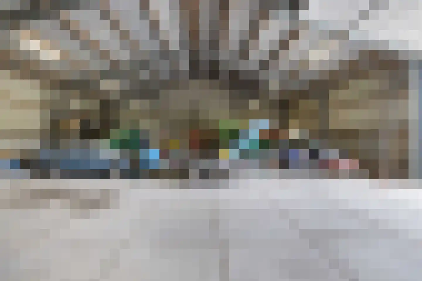 Zwartemeerweg 44 Kraggenburg thumbnail 69