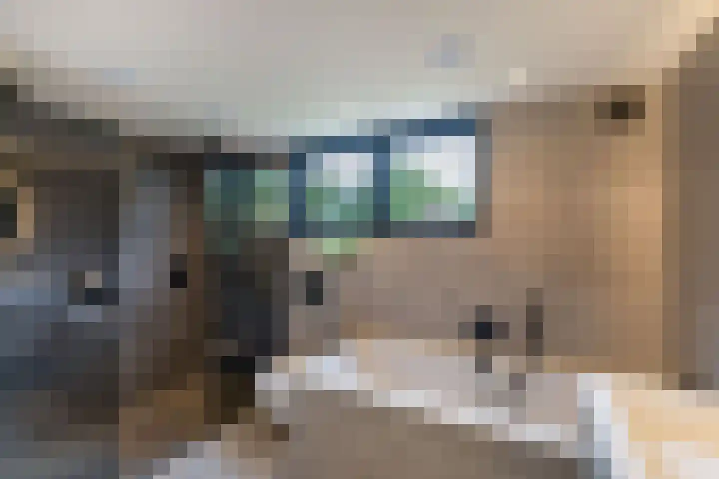 Zwartemeerweg 44 Kraggenburg thumbnail 7