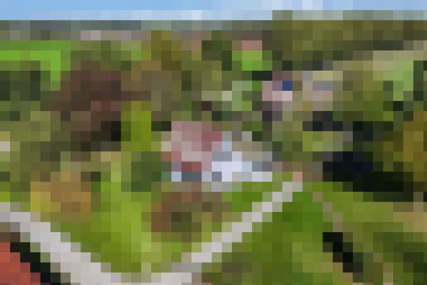Zwartemeerweg 44 Kraggenburg thumbnail 75