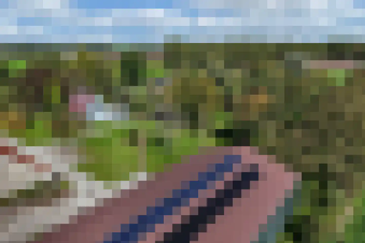 Zwartemeerweg 44 Kraggenburg thumbnail 76