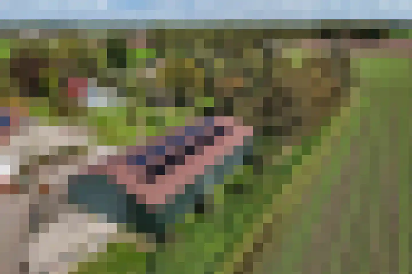 Zwartemeerweg 44 Kraggenburg thumbnail 77