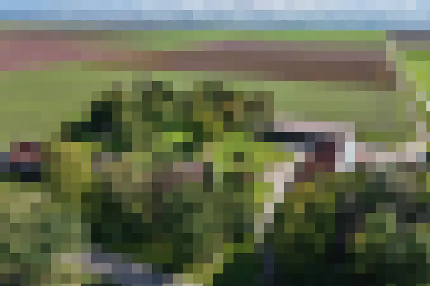 Zwartemeerweg 44 Kraggenburg thumbnail 79