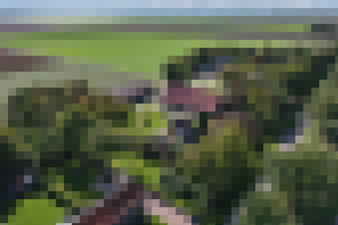 Zwartemeerweg 44 Kraggenburg thumbnail 80