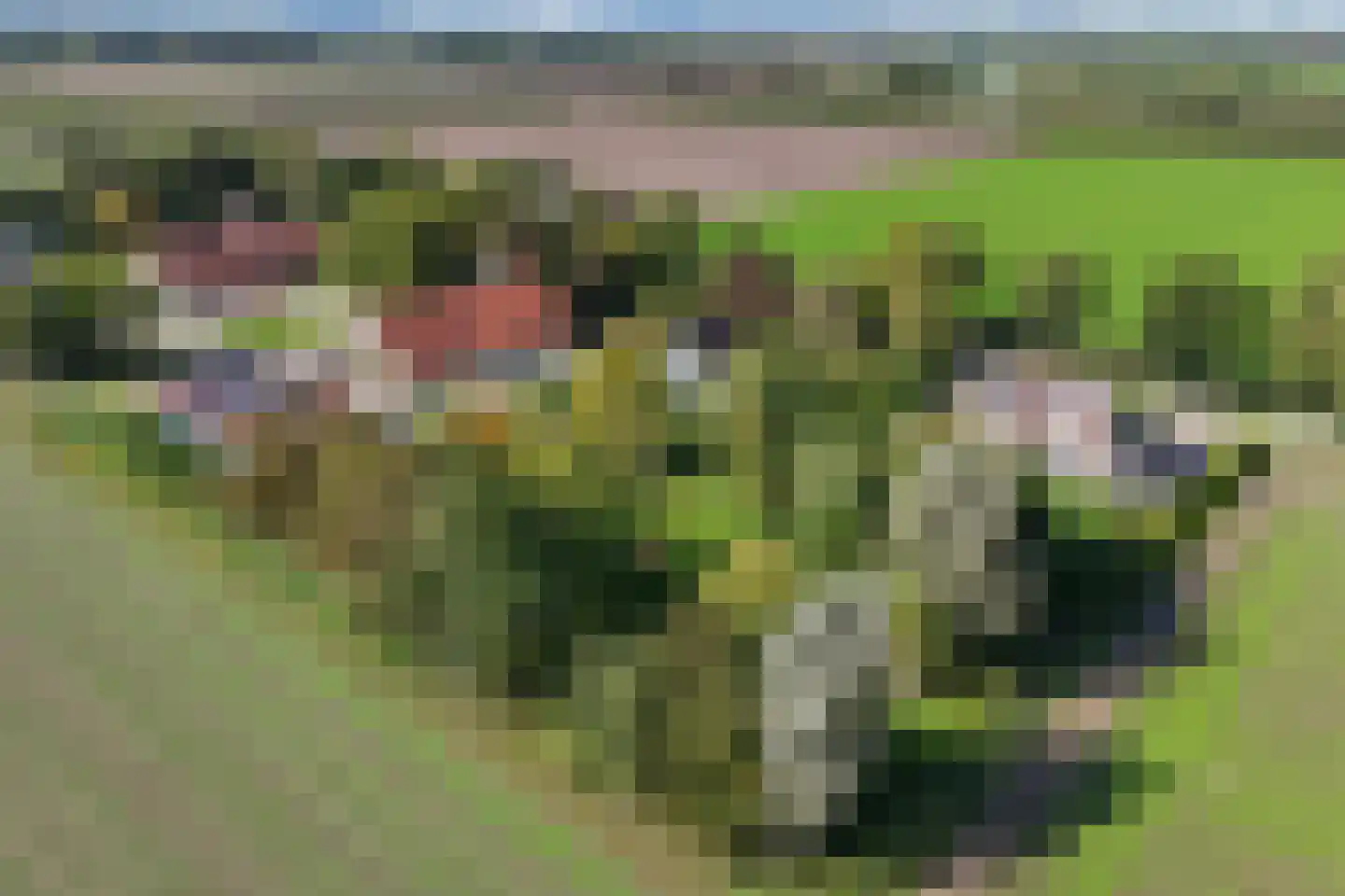 Zwartemeerweg 44 Kraggenburg thumbnail 81
