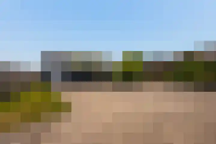Zwartendijk 14 Monster thumbnail 33