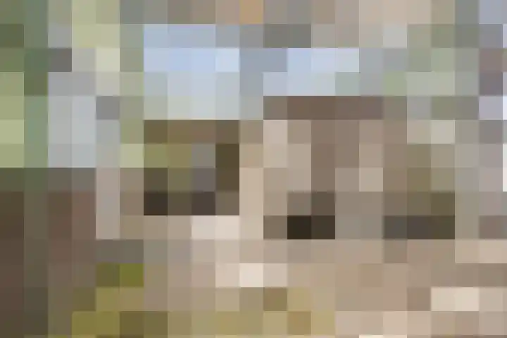 Zwartendijk 14 Monster thumbnail 37