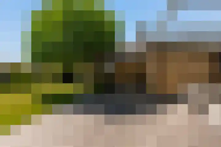 Zwartendijk 14 Monster thumbnail 40