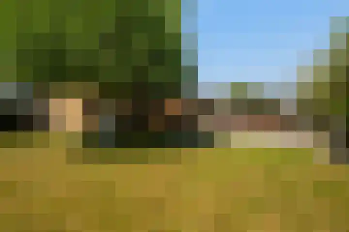 Zwartendijk 14 Monster thumbnail 42